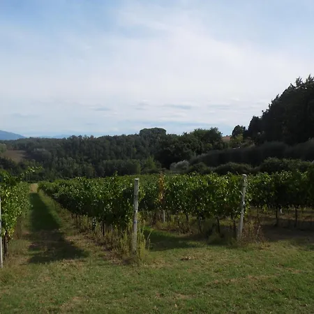 Podere Caldaruccio La Pineta - 4*