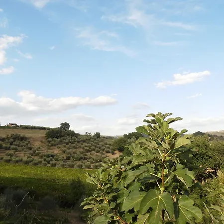 Podere Caldaruccio La Pineta - 4* Ramazzano - Le Pulci