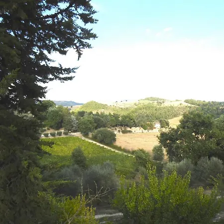 Gæstehus Podere Caldaruccio La Pineta - Ramazzano - Le Pulci