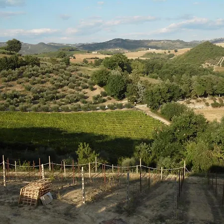 Gæstehus Podere Caldaruccio La Pineta -
