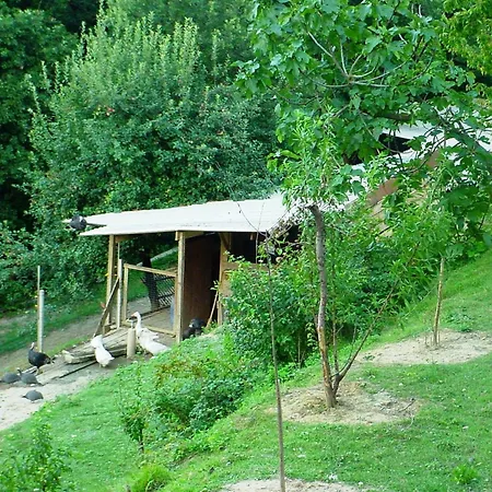 Podere Caldaruccio La Pineta - Penzion 4*