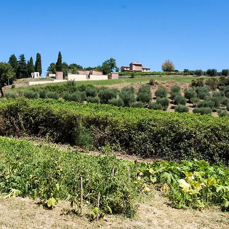 Podere Caldaruccio La Pineta - 4* Ramazzano - Le Pulci