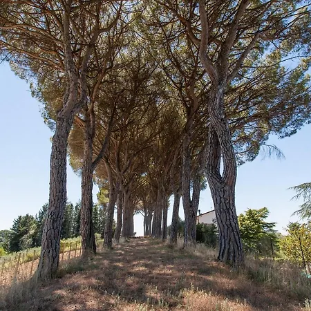 Gæstehus Podere Caldaruccio La Pineta - 4*