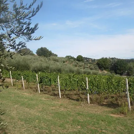 Podere Caldaruccio La Pineta - Ramazzano - Le Pulci