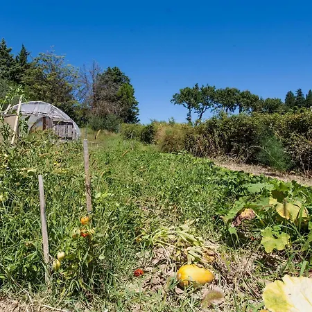 Podere Caldaruccio La Pineta -