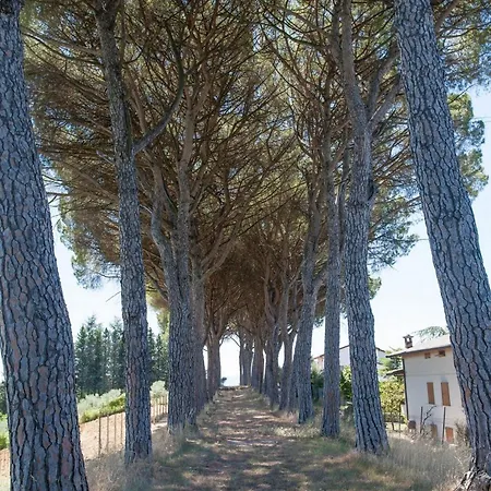 Podere Caldaruccio La Pineta - 4*